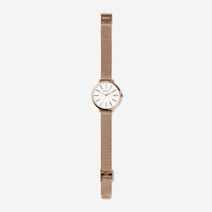 breda-joule-1731b-rosegold-mesh-watch-long