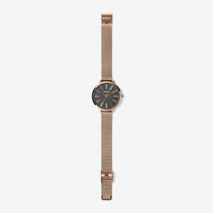 breda-joule-1731d-gold-mesh-watch-long